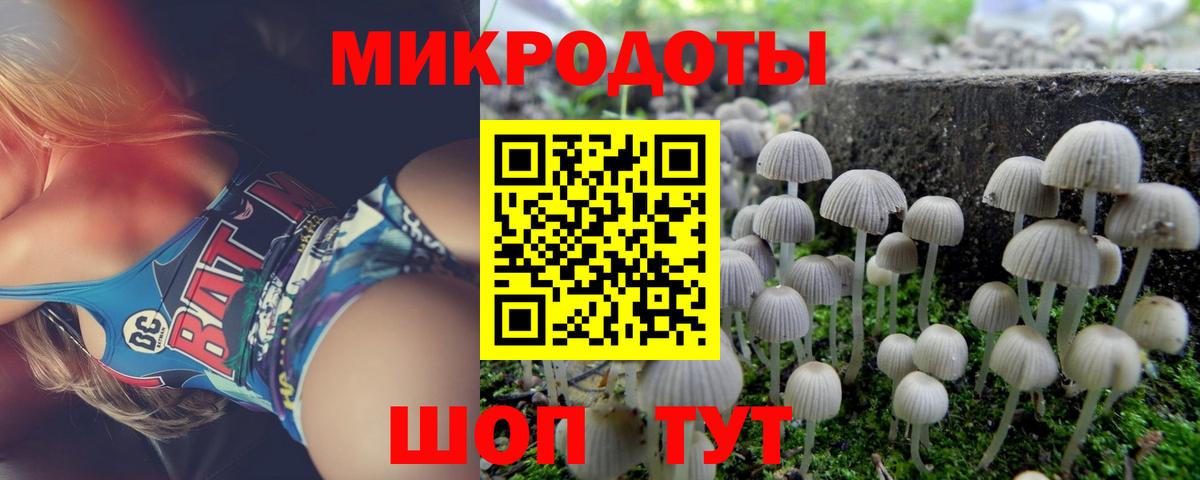 Псилоцибиновые грибы мицелий Саянск