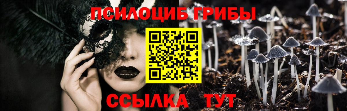Саянск  Галлюциногенные грибы прущие грибы  Вход с VPN 